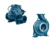 Single-stage pumps with one-way suction SEP